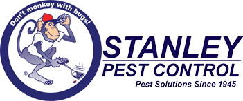 Pest Control Southend