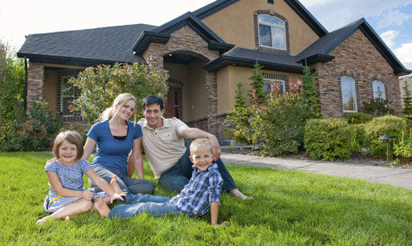 Termite, Rodent, Pest Control | Los Angeles CA | Bee Exterminator