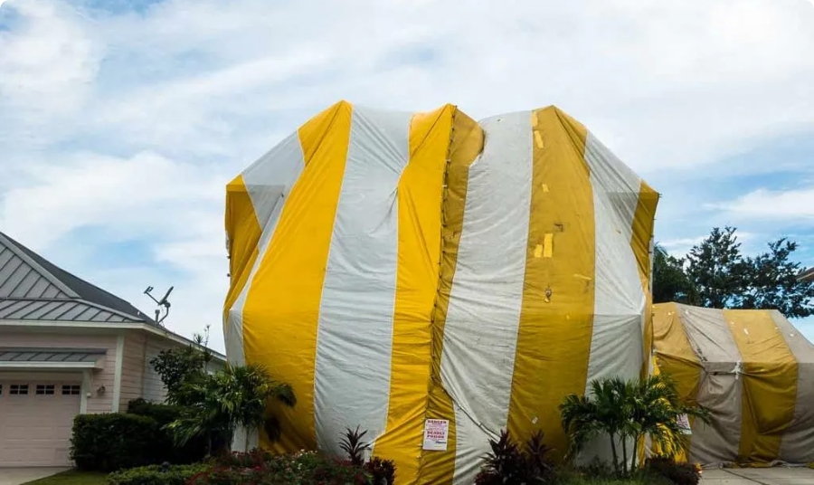 Termite-Fumigation-Universal-Pest-Control-1024x675