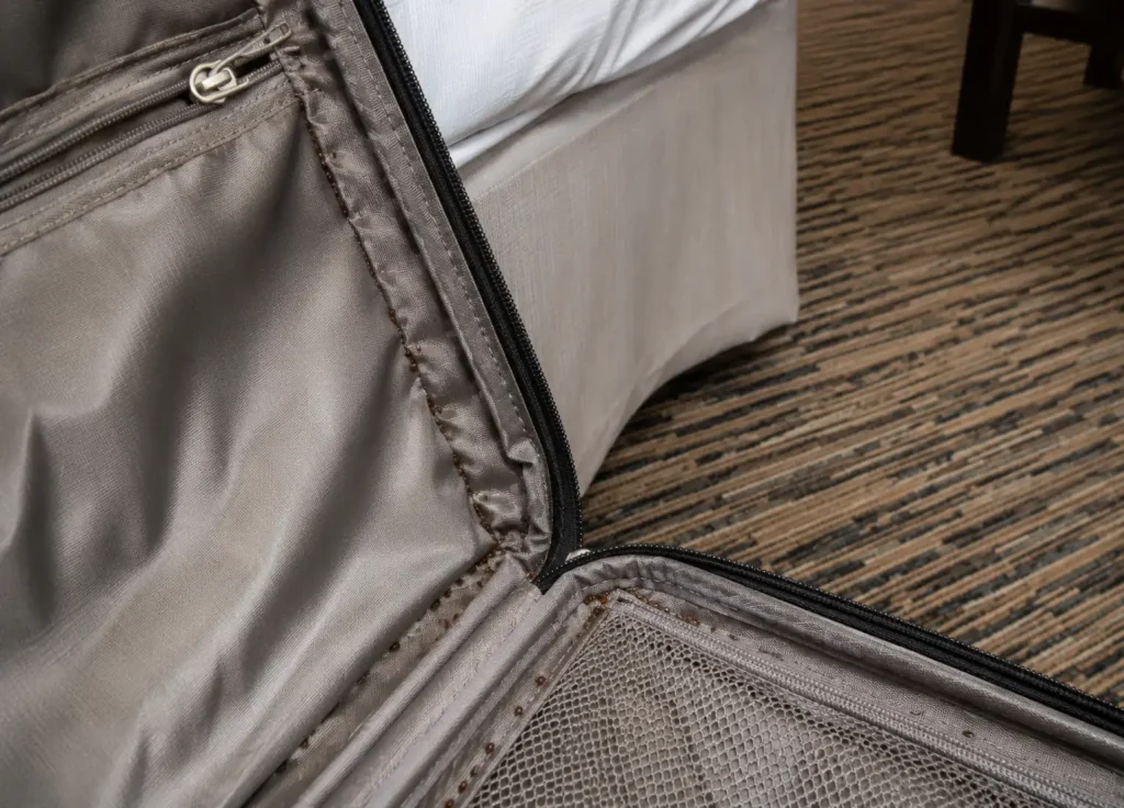 bed-bugs-common-places-luggage-travel-items