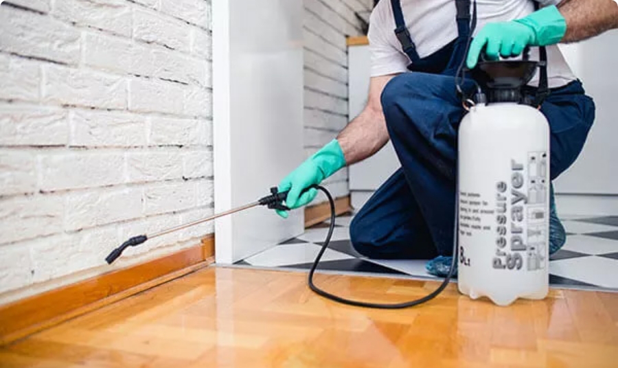 spray-treatment