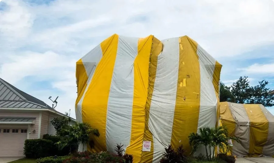 House tented for termite fumigation by pest control experts in Los Angeles